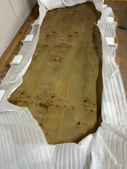 An Anthropologie Scout oval dining table made of light beige ash wood, featuring an oval tabletop with a decorative burl veneer pattern and thick, fluted pedestal legs. 